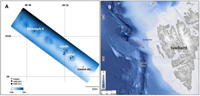 Response of benthic foraminifera to environmental successions of cold seeps from Vestnesa Ridge, Svalbard: Implications for interpretations of paleo-seepage environments